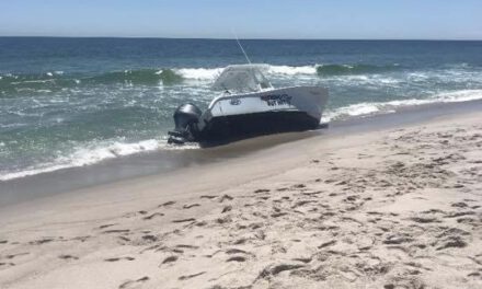 SEASIDE PARK: Whale Jumps Onto Boat