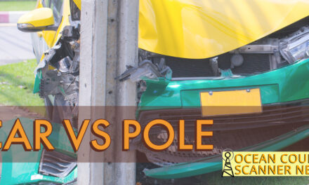LEH: Car v Pole – 9 and Otis Bog