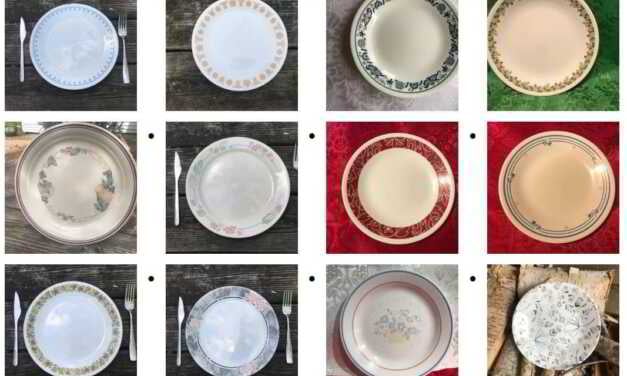 OCEAN COUNTY:  SEE IF YOUR CORELLE DINNERWARE IS ON THE LIST OF SETS CONTAINING HIGH LEVELS OF LEAD